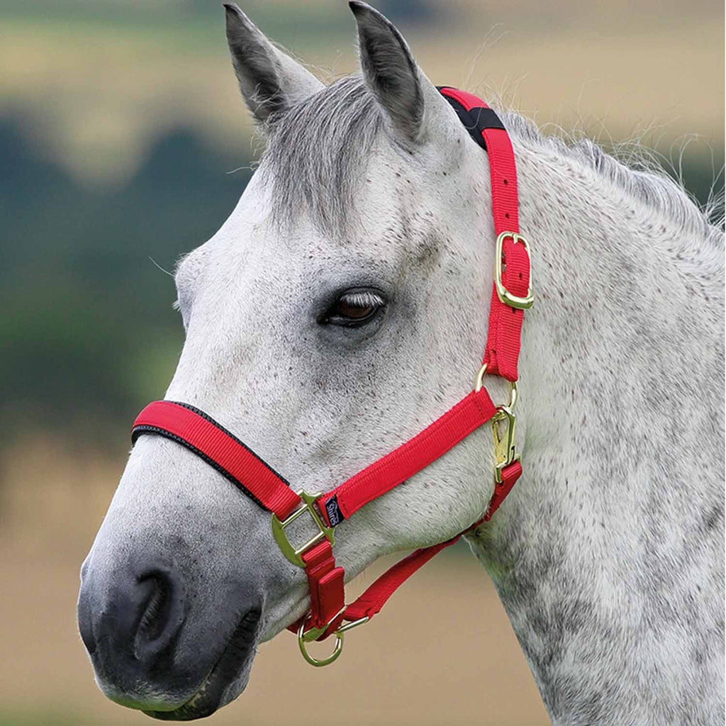 Shires Topaz Headcollar - Red