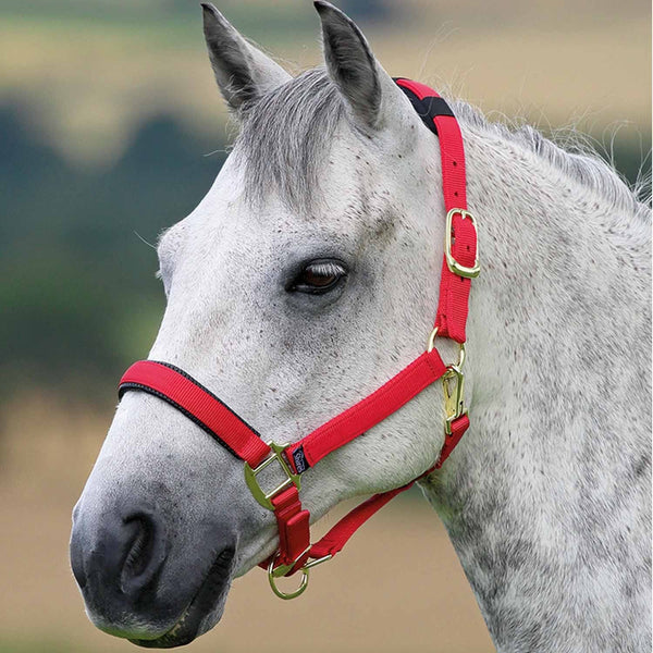 Shires Topaz Headcollar - Red