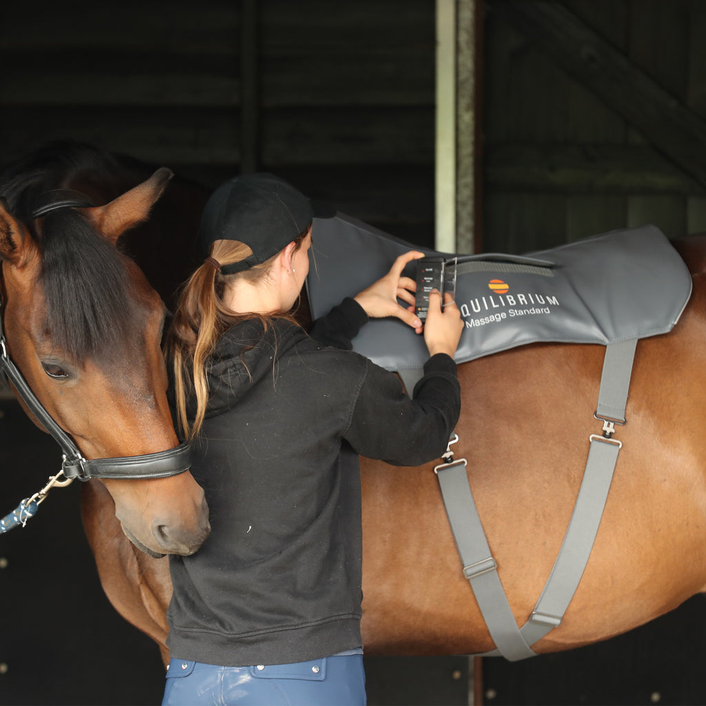 Equilibrium Massage Pad