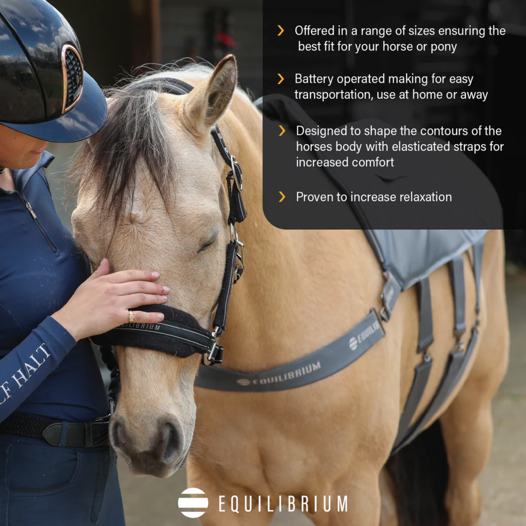 Equilibrium Massage Pad