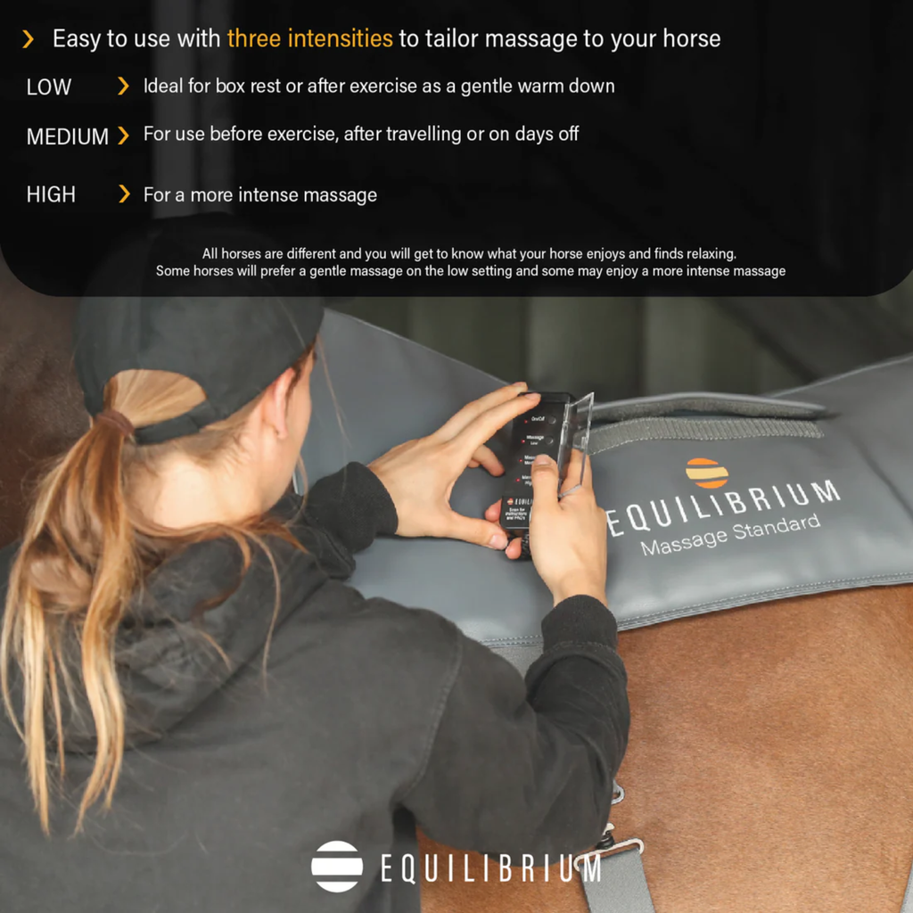 Equilibrium Massage Pad