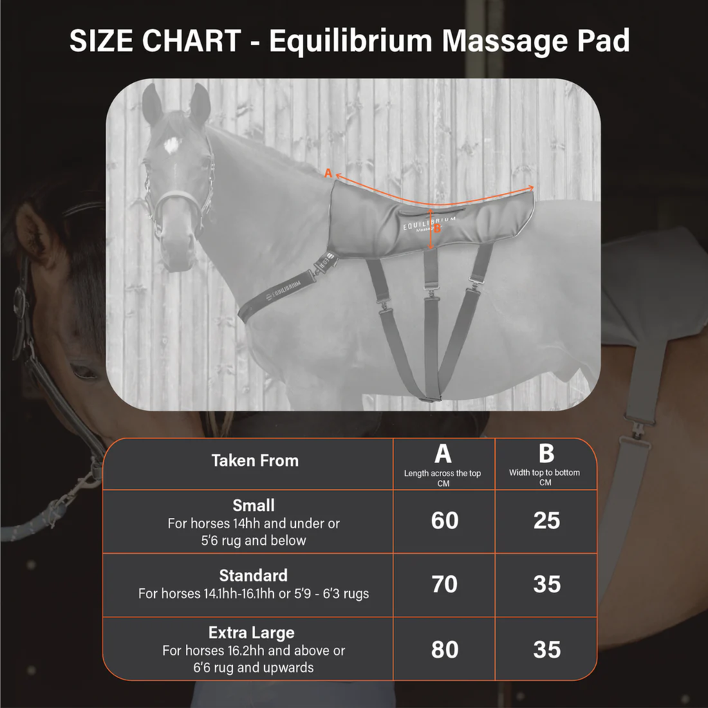 Equilibrium Massage Pad
