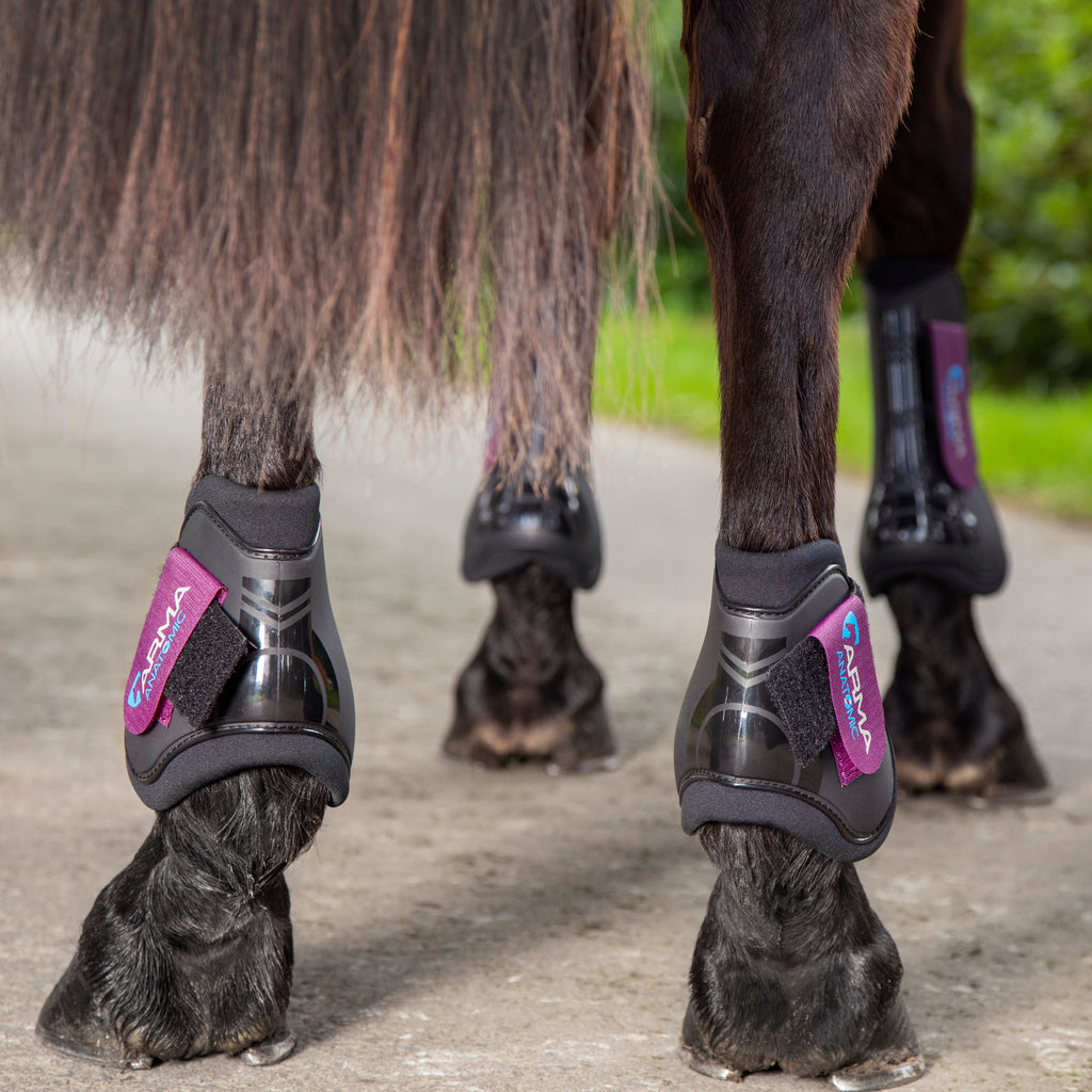 ARMA Fetlock Boots - Black/Plum