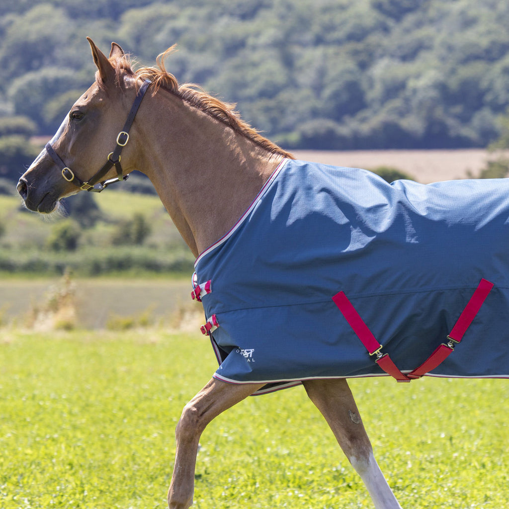Tempest Original Lite Turnout Rug - Teal