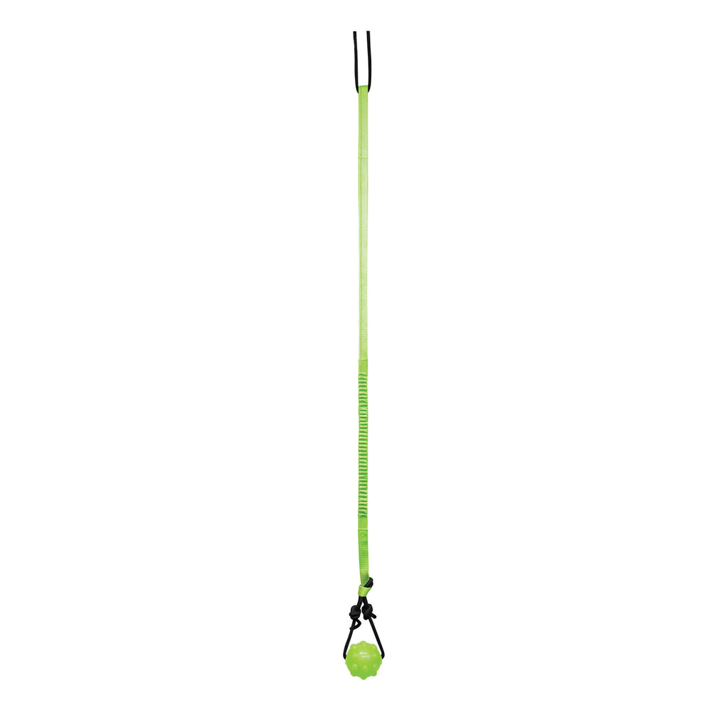 Jolly Pets Tree Trugger - Green