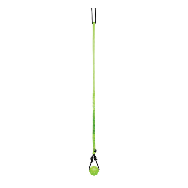Jolly Pets Tree Trugger - Green