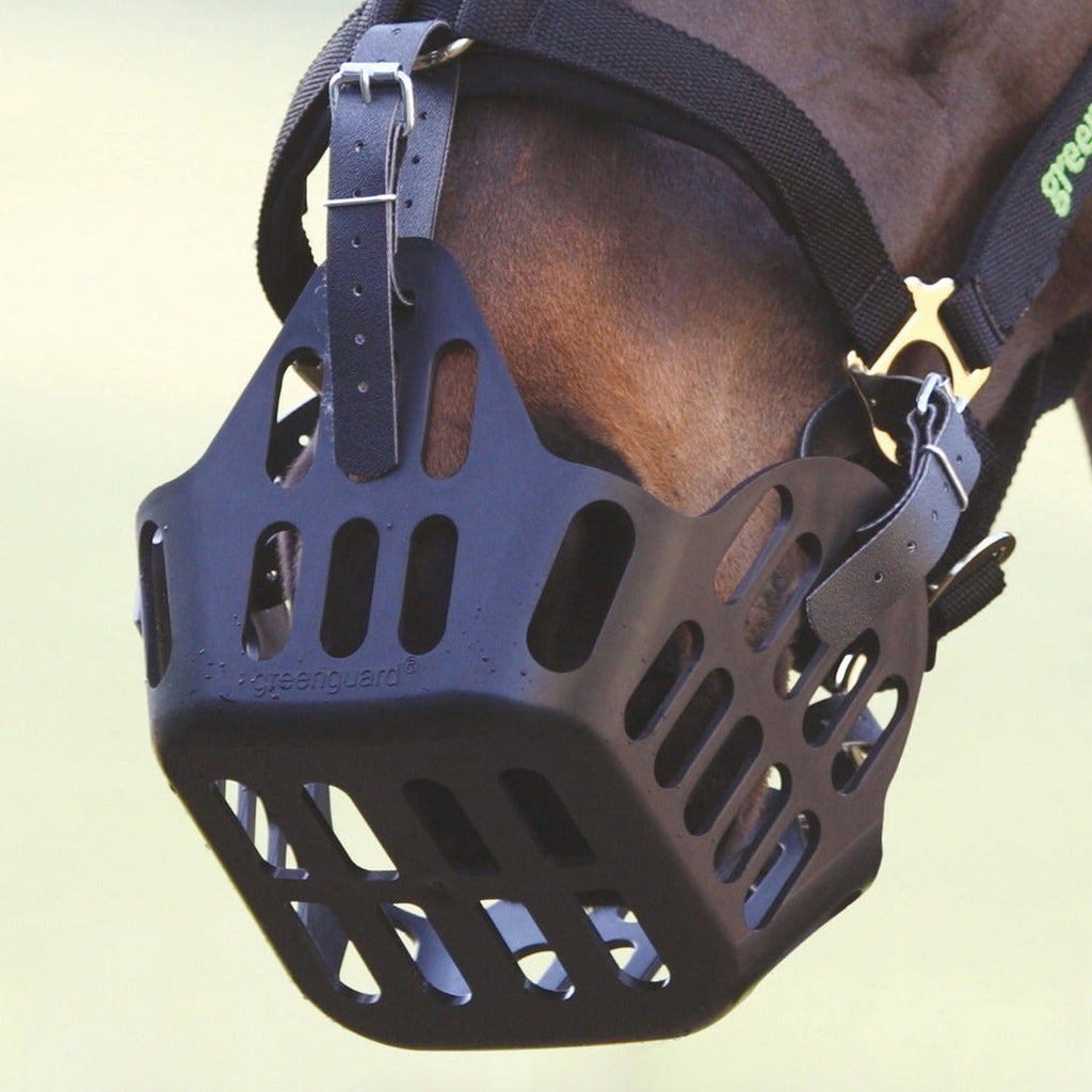Greenguard Grazing Muzzle