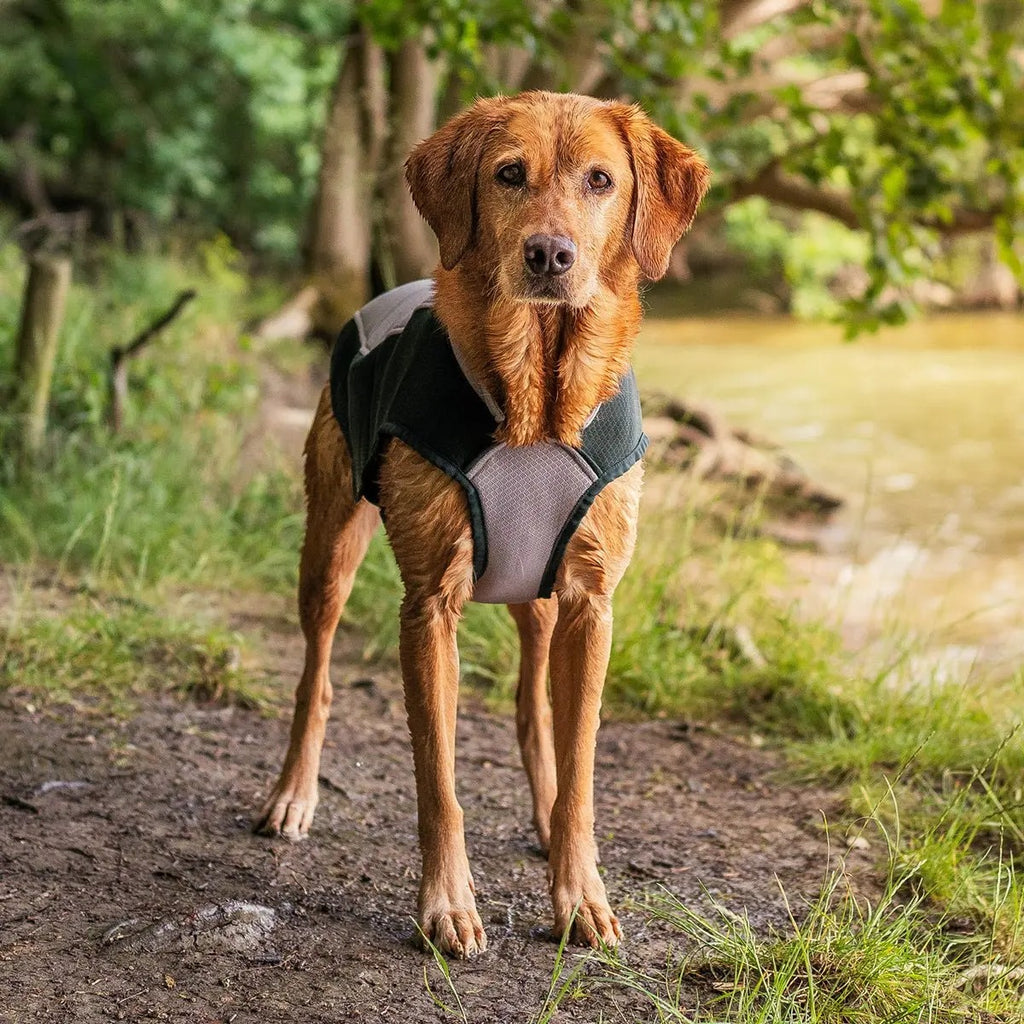 Ruff and Tumble Cooling Coat