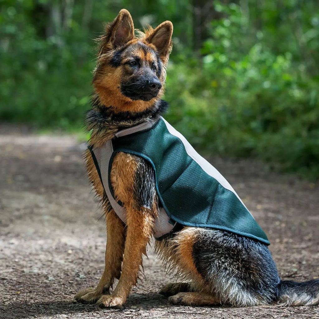 Ruff and Tumble Cooling Coat