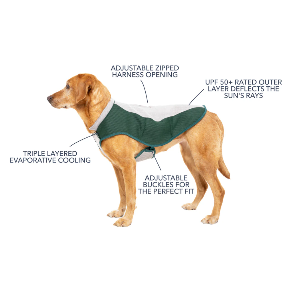 Ruff and Tumble Cooling Coat