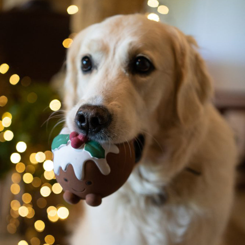 Petface Chrissie Christmas Pudding Latex Dog Toy