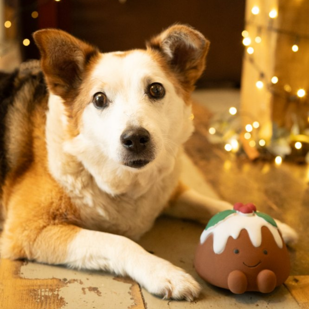 Petface Chrissie Christmas Pudding Latex Dog Toy