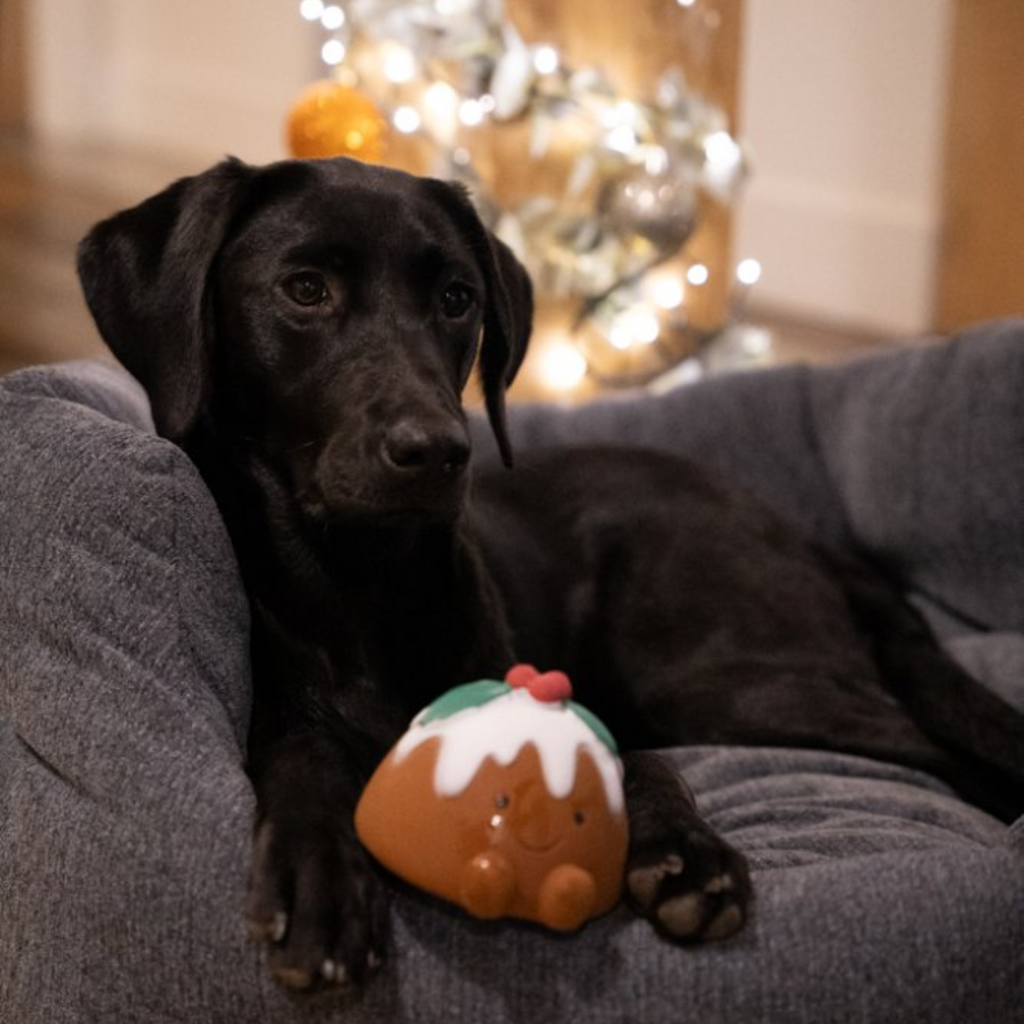 Petface Chrissie Christmas Pudding Latex Dog Toy