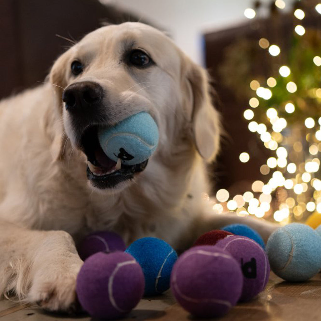 Petface Tennis Ball Christmas Tree