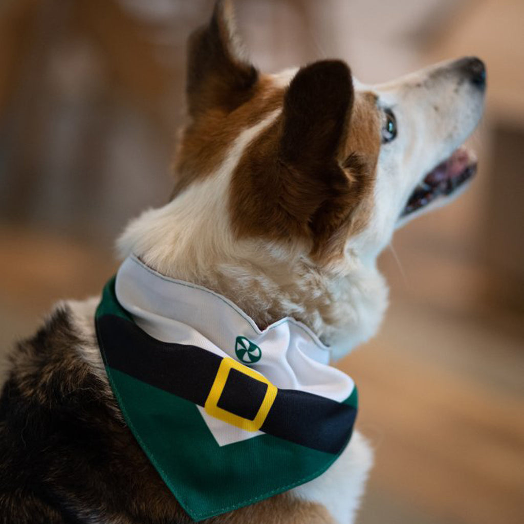 ELF CHRISTMAS DOG BANDANA