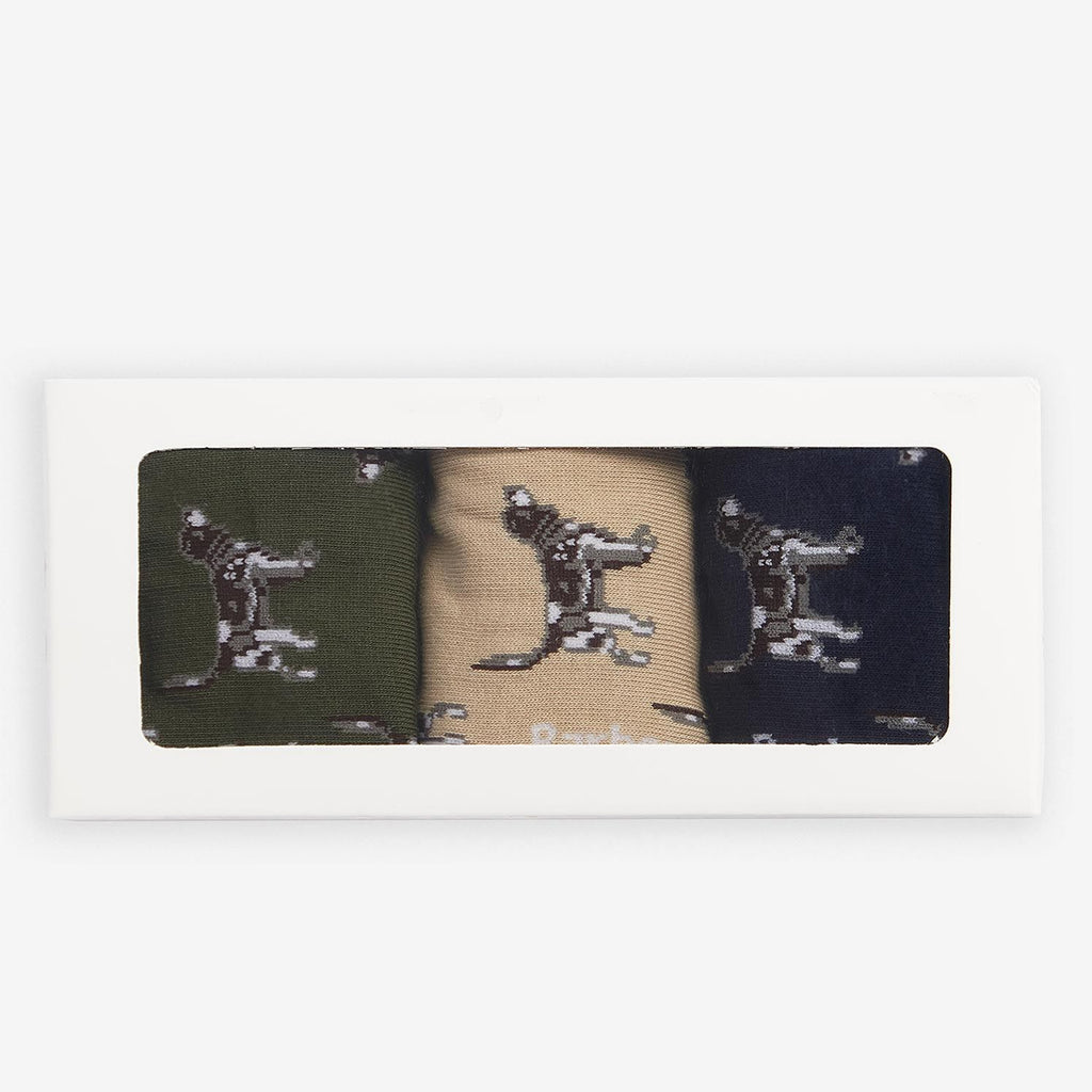 Barbour Pointer Dog Socks Gift Box Forest Mist