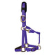 KM Elite Padded Headcollar - Purple