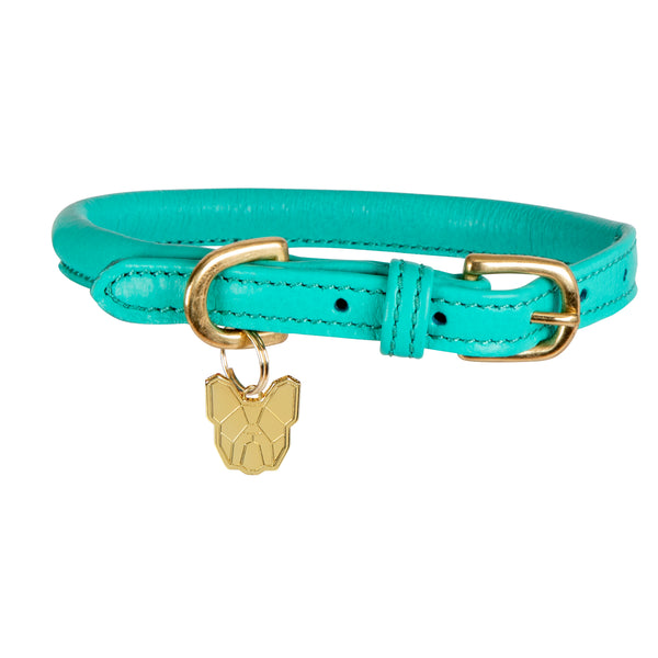 Digby and Fox Rolled Leather Dog Collar - Teal