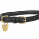 Digby and Fox Rolled Leather Dog Collar - Black