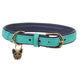 Digby and Fox Padded Leather Dog Collar - Aqua