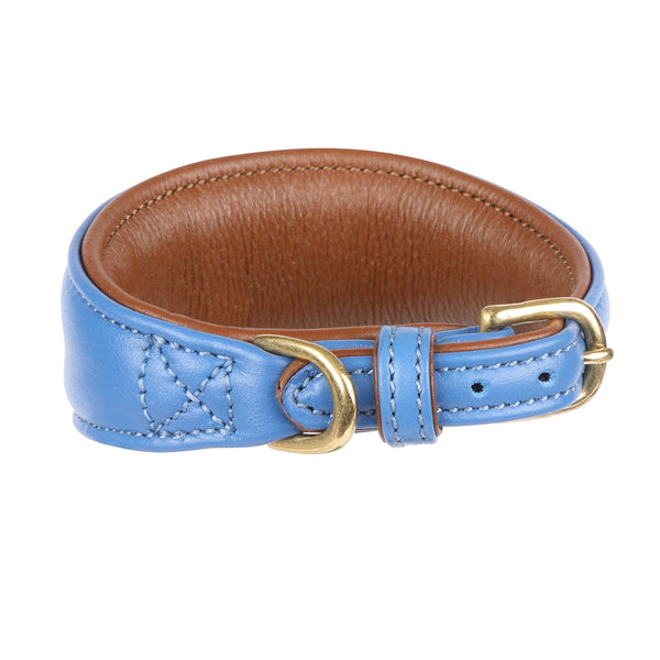 Digby and Fox Padded Leather Greyhound Collar - Royal