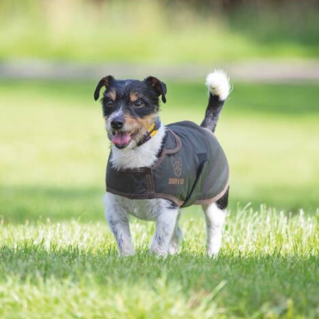 Digby and Fox Wax Coat - Olive