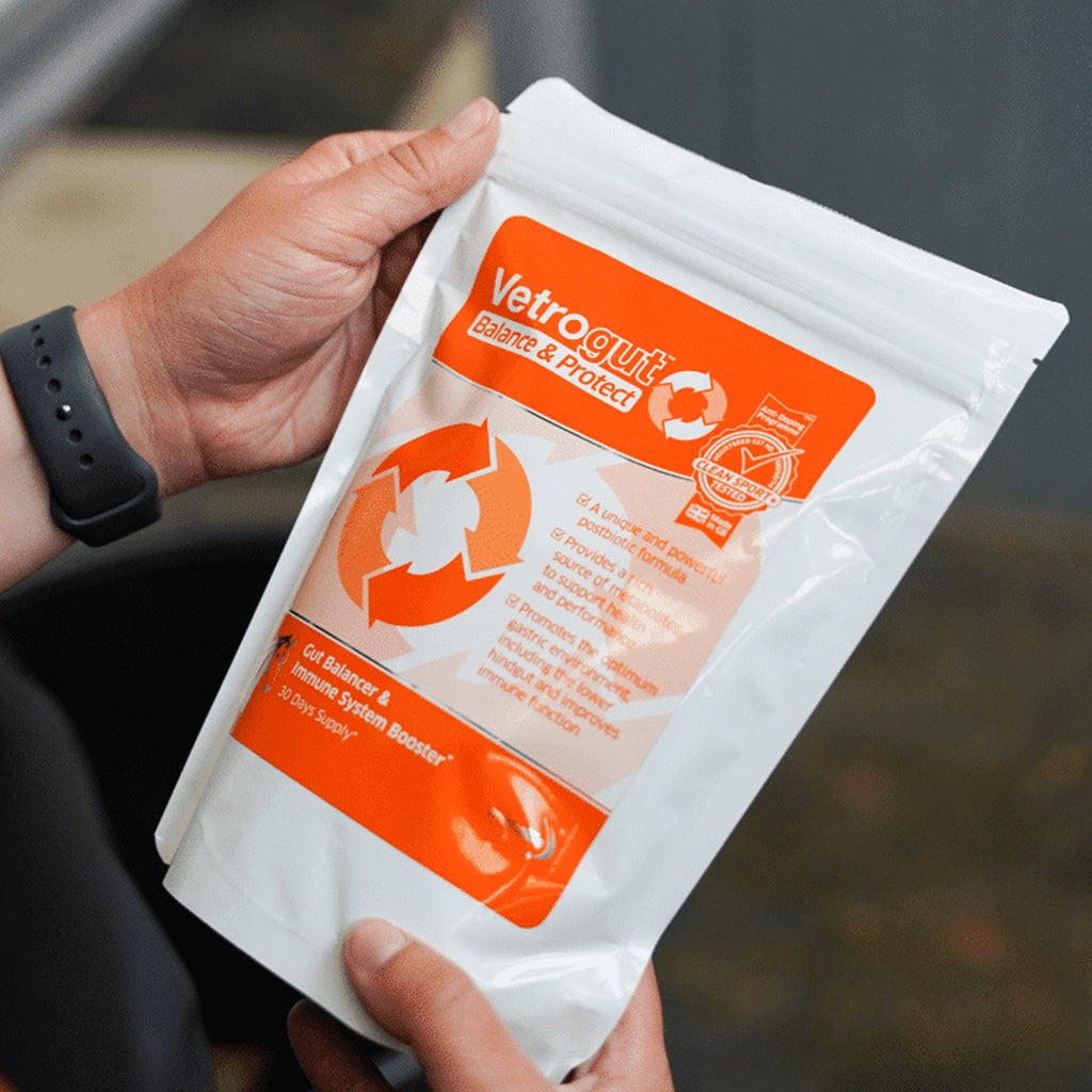 Animalife Vetrogut Balance And Protect - 420g