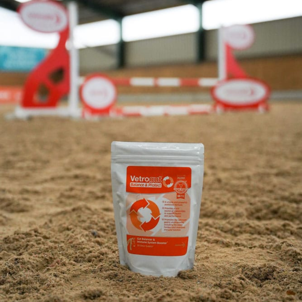 Animalife Vetrogut Balance And Protect - 420g