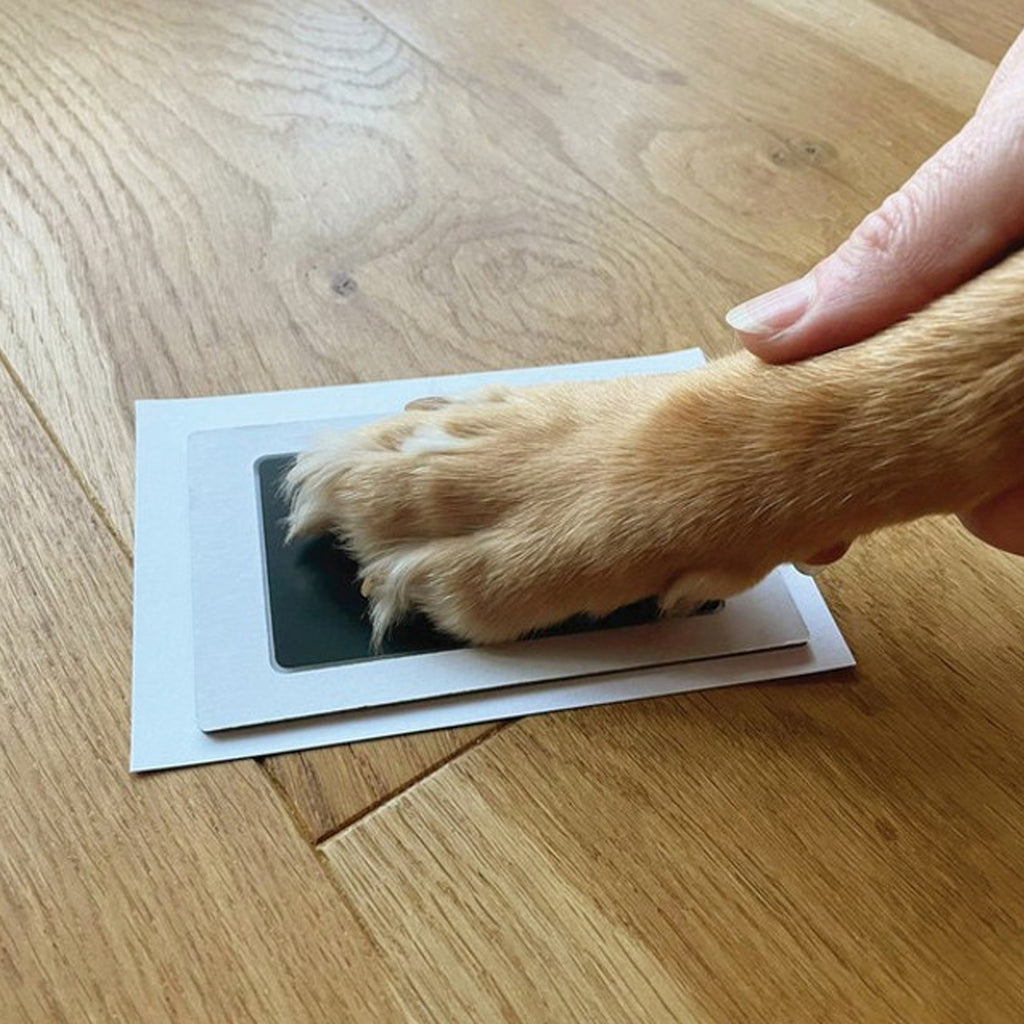 Oh So Precious Paw Print Ink Pad