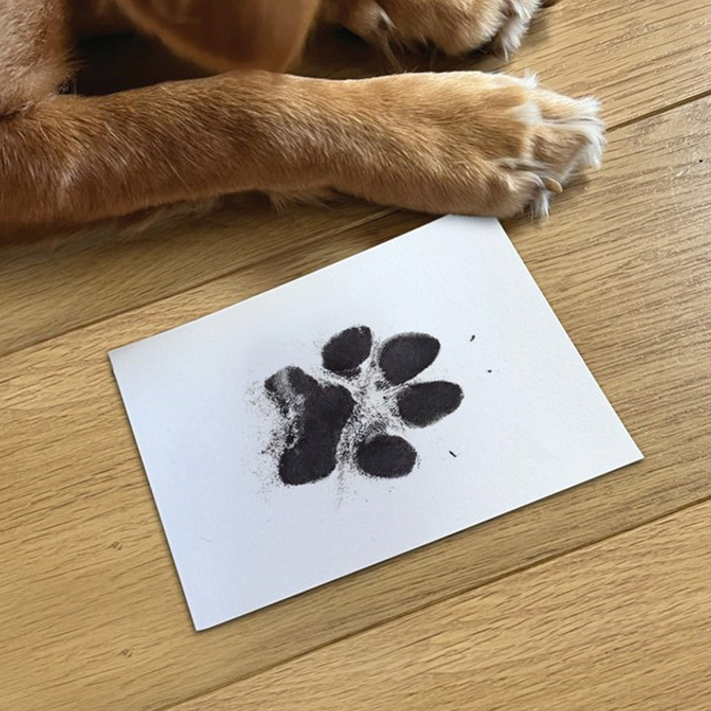 Oh So Precious Paw Print Ink Pad