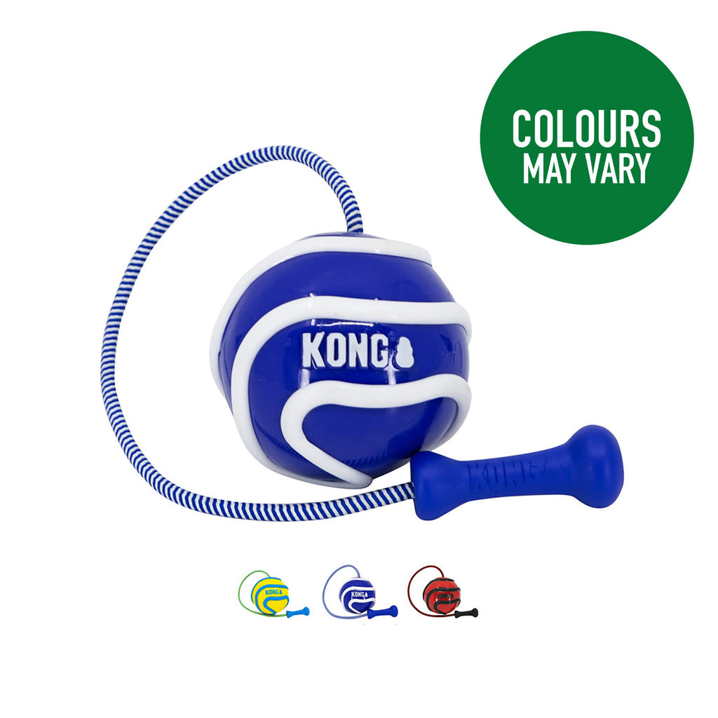 KONG Wavz Bunjiball