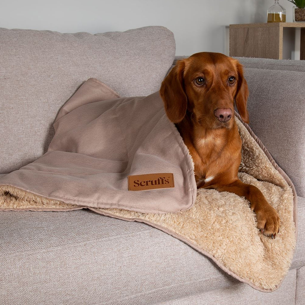 Scruffs Snuggle Blanket - Sand
