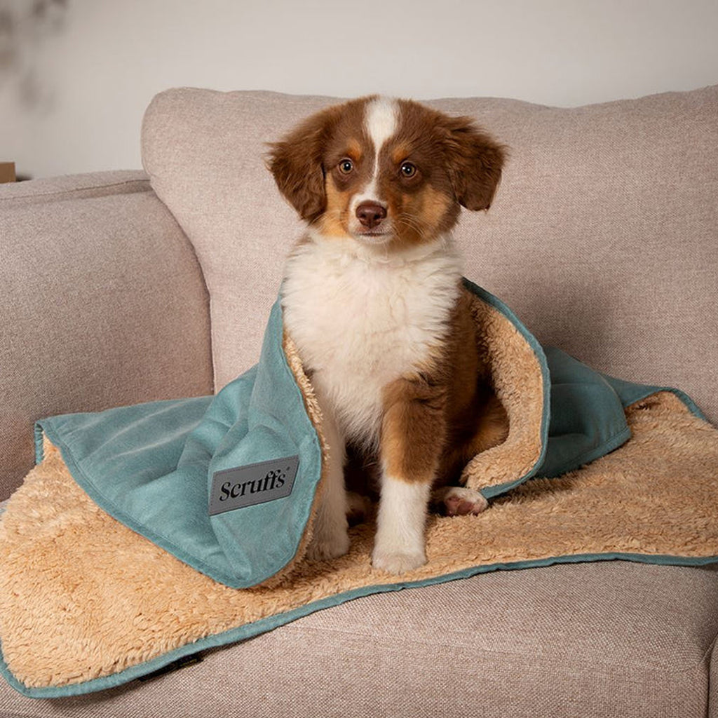 Scruffs Snuggle Blanket - Sage Green