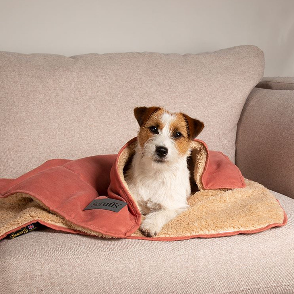 Scruffs Snuggle Blanket - Terracotta