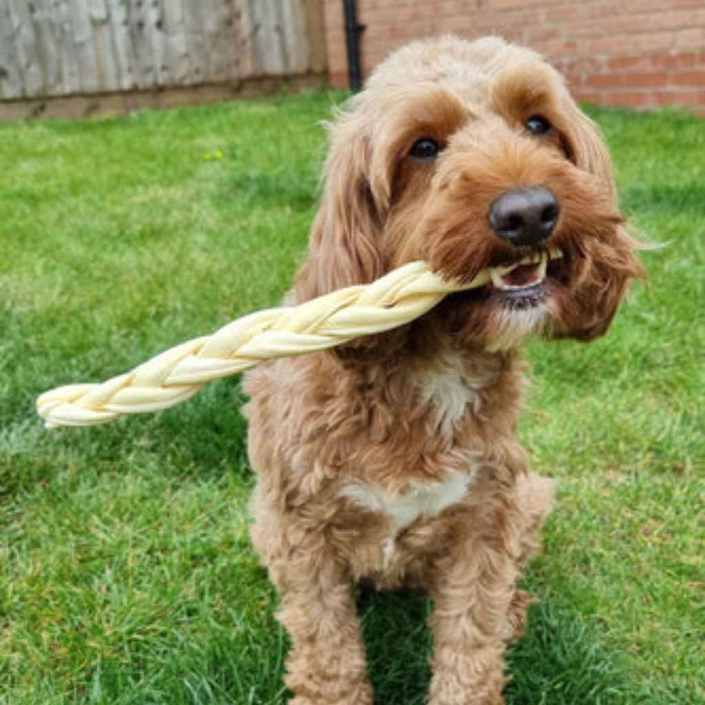 JR Pet Products Braided Lamb - 30cm