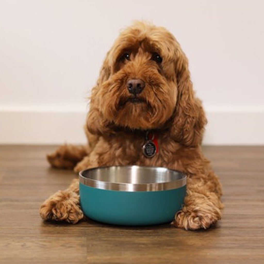 Rosewood Double Wall Bowl 350ml - Teal