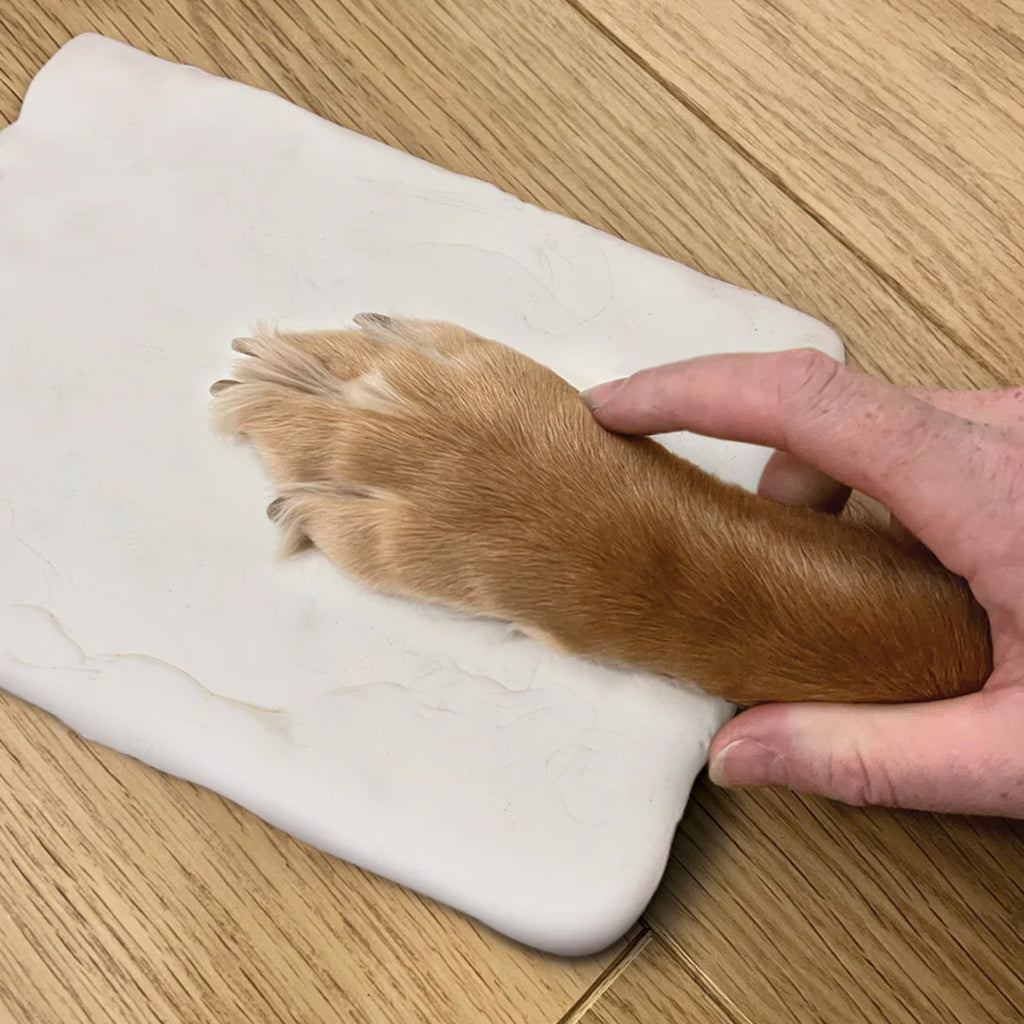 Oh So Precious Paw Print Clay Mould and Photo Frame