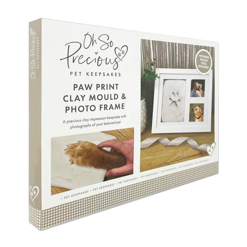 Oh So Precious Paw Print Clay Mould and Photo Frame