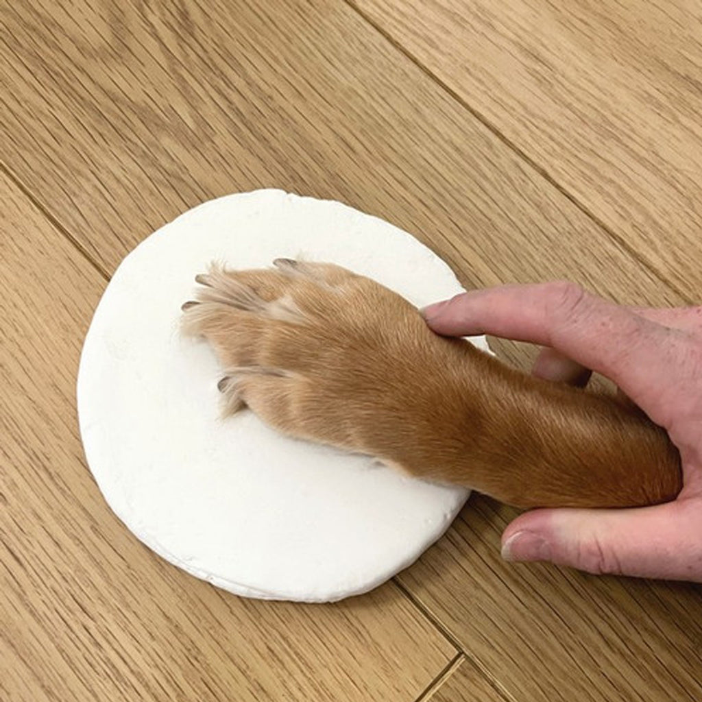 Oh So Precious Pet Paw Clay Moulding Kit