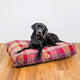 Snug and Cosy Highland Lounger Cushion - Mulberry