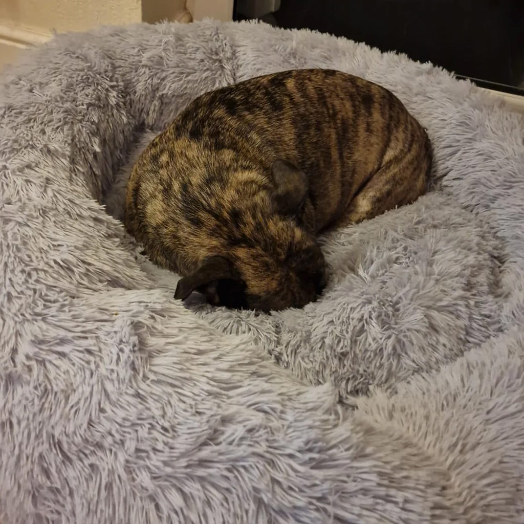 Snug and Cosy Anti Anxiety Donut Bed - Grey