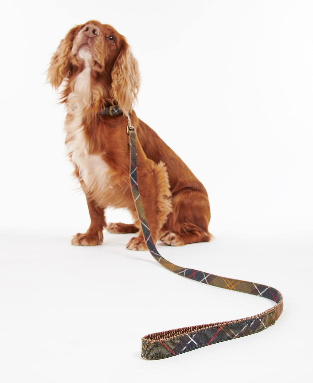 Barbour Reflective Tartan Dog Lead - Classic Tartan