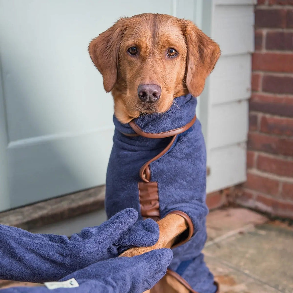Ruff And Tumble Dog Drying Mitts - French Navy