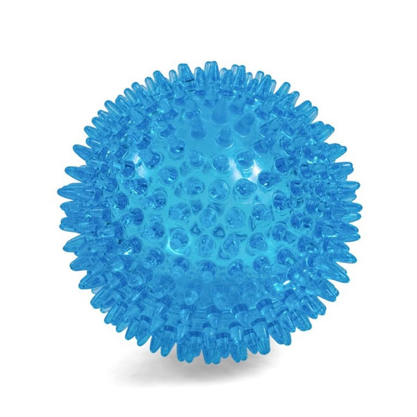 Petface Blue Toyz Space Ball