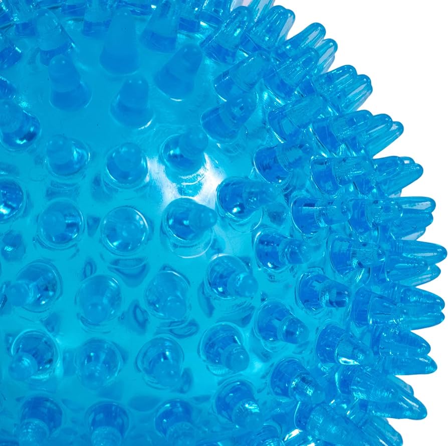Petface Blue Toyz Space Ball