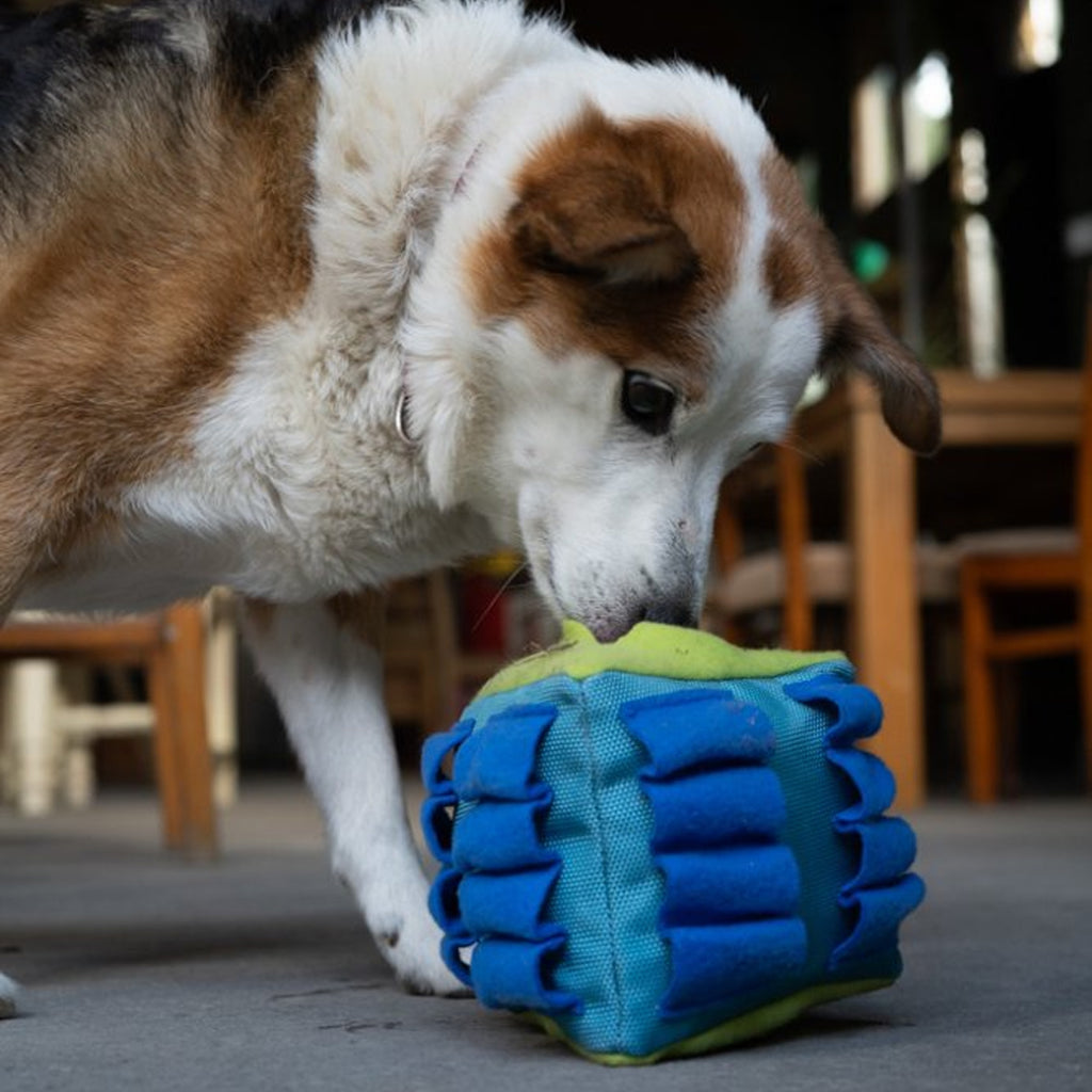 Petface Snuffle Triangle Puzzle Toy