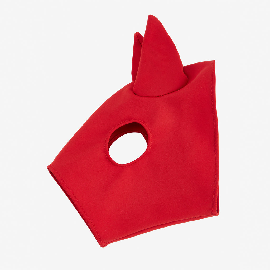 LeMieux Toy Pony Racing Cloth and Hood