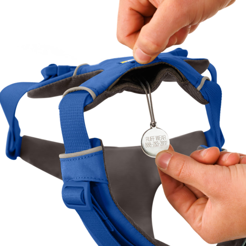Ruffwear Front Range Harness - Blue Pool