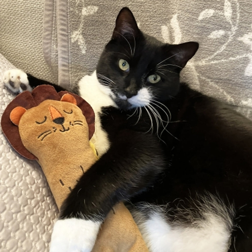 Rosewood Eco Lion Kicker Cat Toy
