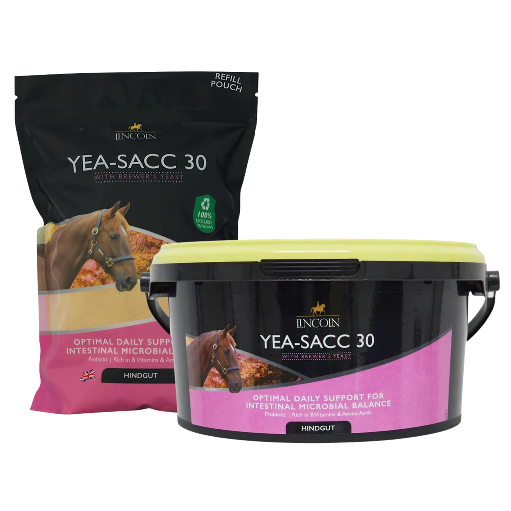 Lincoln Yea-Sacc 30